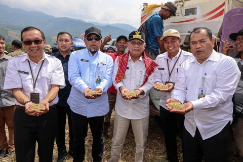 Surya bersama Bupati Karo Antonius Ginting di dampingi sejumlah OPD melakukan panen raya padi, model penguatan ketahan pangan melalui pemulihan irigasi di Desa Lau Mulgap, Kecamatan Mardingding, Kabupaten Karo, Selasa (20/01/2026).