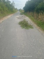 Swadaya Masyarakat Memperbaiki Jalan Berlubang untuk Mencegah Bertambahnya Korban Kecelakaan