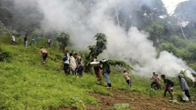 Polisi bakar ladang ganja di pegunungan Tor Mangompang