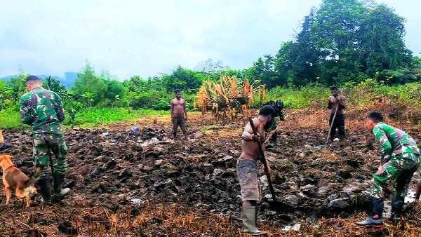 Gotong royong membuka lahan perkebunan yang dilakukan bersama warga di Distrik Elelim