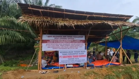 Aktivitas Kelompok Tani Perjuangan Desa Tanah Gambus yang menjadi sorotan Nasional dalam polemik perpanjangan HGU.