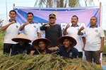 Kalapas Rantauprapat Turun Langsung ke Sawah Panen Padi Bersama Pegawai dan Warga Binaan