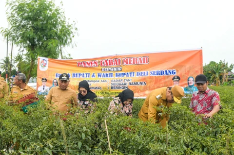 Pemkab Deli Serdang Siapkan Intervensi Pasar Jaga Stabilitas Harga & Daya Jual