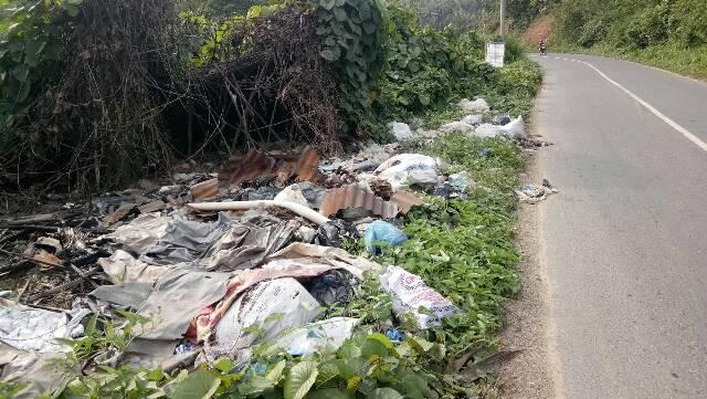 Sampah sisa pedagang dari Pasar Ujung Batu yang dibuang dan berserak di sepanjang jalan lintas Sosa-Riau Desa Ujung Batu.&nbsp;