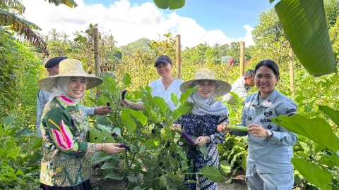 Panen Kacang di Karangasem