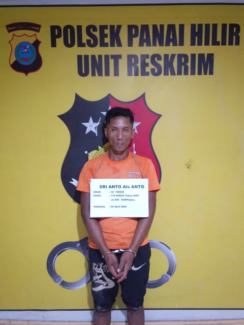 Sri Anto alias Panjul setelah ditangkap aparat Unit Reskrim Polsek Panai Hilir