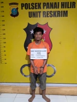 Curi Sawit Warga, Arif Rahman Ditangkap Polsek Panai Hilir