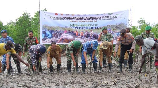 Penanaman mangrove di Timika