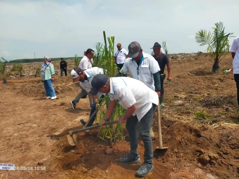 Kegiatan tanam perdana di Afdeling VIII