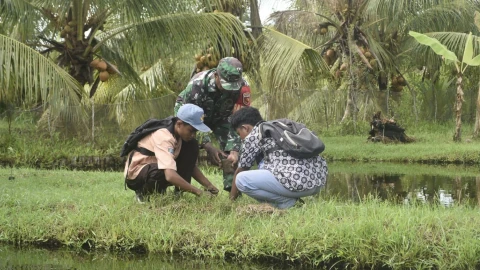 Penanaman pohon dilaksanakan bersama sejumlah masyarakat di lokasi TMMD Ke-124 Kodim 1501/Ternate. 