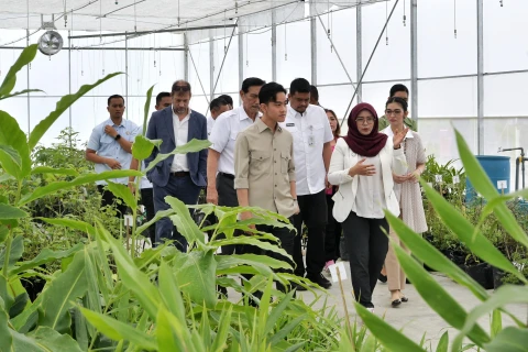 Wakil Presiden (Wapres) Republik Indonesia Gibran Rakabuming serta istri Selvi Gibran Rakabuming meninjau Taman Sains Teknologi Herbal dan Hortikultura (TSTH2) di Kecamatan Pollung, Kabupaten Humbang Hasundutan, Jumat (16/05/2025).