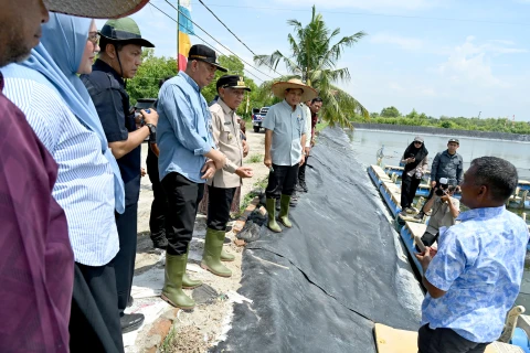 Surya bersama Pj Sekretaris Daerah Provinsi Sumut Sulaiman Harahap meninjau Unit Pelaksana Teknis Daerah (UPTD) Budidaya Ikan Air Payau dan Laut (BIAPAL) di Desa Pekan Sialang Buah, Kecamatan Teluk Mengkudu, Kabupaten Serdangbedagai, Selasa (12/5/2026).