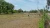 Memasuki Masa Tanam, Petani Tapteng Keluhkan Kelangkaan Pupuk Subsidi