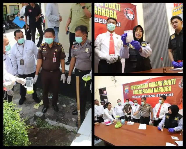Satnarkoba Polres Sergai saat pemusnahan BB bersama Puslabfor Polda Sumut