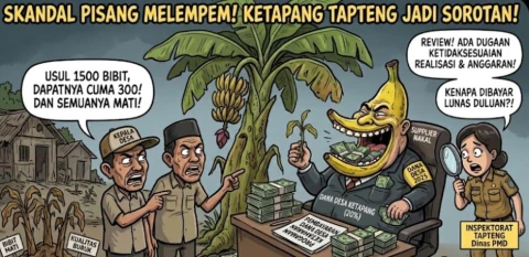 Program Ketapang Tapteng Disorot, Kualitas dan Jumlah Bibit Diterima Kades Tak Sesuai