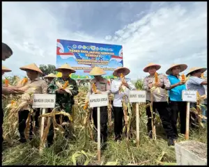 Polres Sergai Gelar Panen Raya Jagung dan Sukseskan Program Ketahanan Pangan Polri