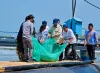 Panen Raya Udang di Kebumen, Dorong Indonesia Jadi Produsen Udang Dunia