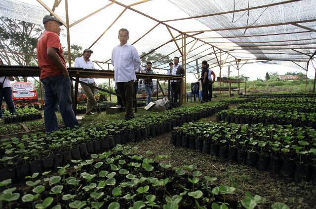Sihar Sitorus berbincang dengan Samuel Sihombing di gudang produksi kopi miliknya di Kampung Hutatika Kecamatan Sitinjo, Kabupaten Dairi, Sabtu (2/6/2018).