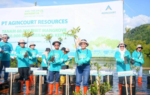 Dr. Sugeng Riyanta, SH., MH, bersama PT Agincourt Resources (PTAR) melakukan penanaman 60.000 bibit pohon mangrove serta tebar bibit kerang dan kepiting
