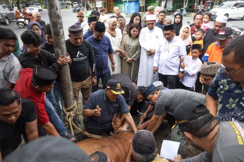 Penyerahan Seekor Sapi Kurban ke MUI Pematangsiantar