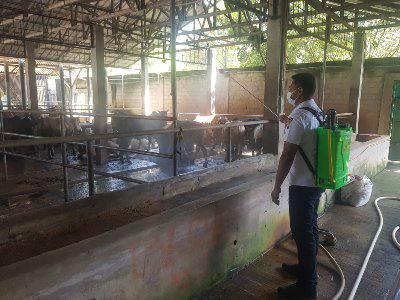 Penyemprotan disinfektan dipimpin Kasubsatgas pengobatan dan disinfektan Iptu Rifaldy Arsad S.Tr.K MH