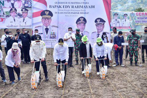 Edy Rahmayadi melaksanakan penanaman bibit jagung di Desa Traju, Kecamatan Siemparube, Kabupaten Pakpak Bharat, Rabu (20/7/2022).