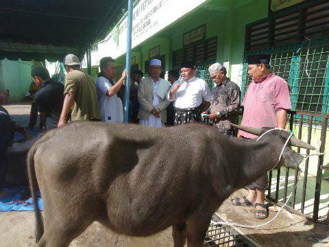 M. Syarfi Hutauruk menyerahkan qurban pada hari raya Idul Adha di Sibolga, Minggu (10/7).
