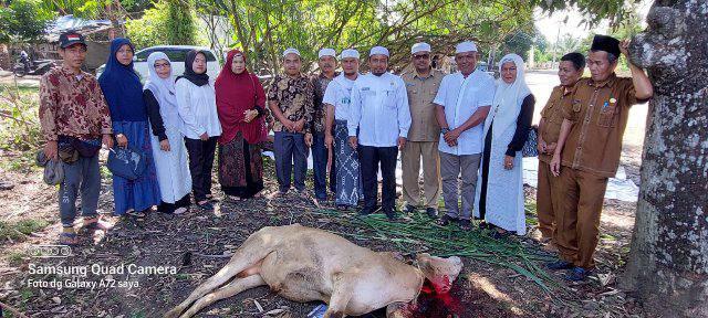 Kepala KUA Sosa, H. Abdul Rajab Hasibuan mendampingi Pengawas Madrasah Kemenag Palas, perwakilan Camat Sosa, Ketua MUI peserta kurban foto bersama usai penyembelihan hewan kurban.