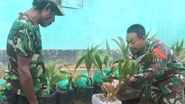 Pembinaan masyarakat tentang bagaimana cara memanfaatkan kelapa menjadi karya seni berupa bonsai sehingga bernilai seni dan mempunyai harga jual tinggi 