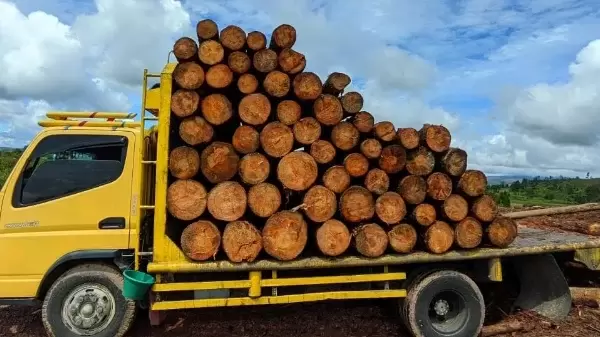 Kayu dan colt diesel tersebut saat ini diamankan pihak DLHK sebagai barang bukti untuk proses hukum.