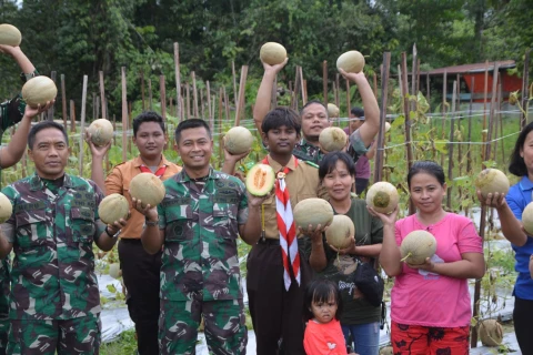 Panen perdana Melon di Lahan Kodim