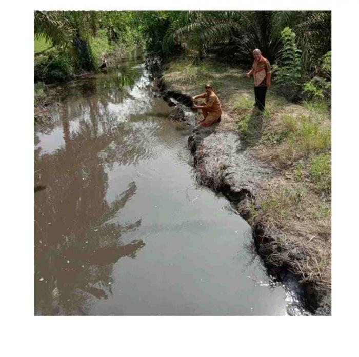 Ketua DPN LKLH M.Sofian Damanik ketika meninjau limbah salah satu PKS di Kab. Simalungun yang diduga tidak memiliki AMDAL