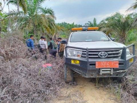 Pemasangan kamera trap, dilakukan guna memantau pergerakan Harimau Sumatera.