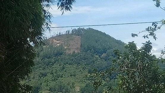 Tampak puncak Dolok Imun sudah gundul setengah 