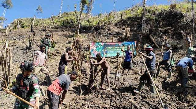 Prajurit TNI membantu meningkatkan perekonomian masyarakat dengan membuka lahan untuk berkebun