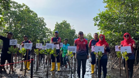 Kegiatan Zona Bakamla Barat berupa penanaman pohon mangrove di Rumpun Bakau Indah, Kampung Jawa