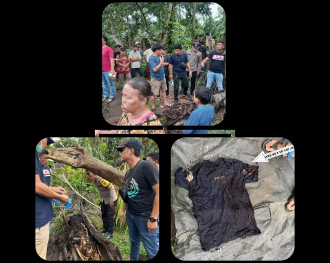 Penemuan Tulang Belulang Manusia Didalam Pohon Aren Gegerkan Warga di Sergai