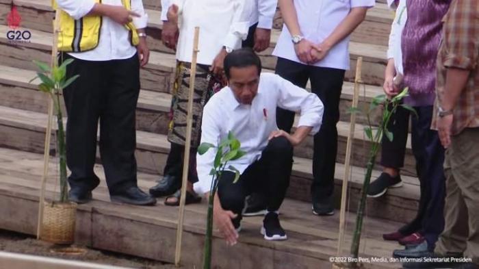 Jokowi saat meninjau Tahura Ngurah Rai