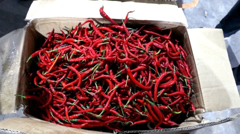 Kedatangan tahap pertama cabai merah dari Pulau Jawa, di Pasar Lau Cih, Medan, baru-baru ini.