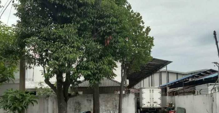 Modus Dimutasi Hingga Diberhentikan, Buruh Ini Laporkan Perusahaan Es Krim ke Disnaker Sumut