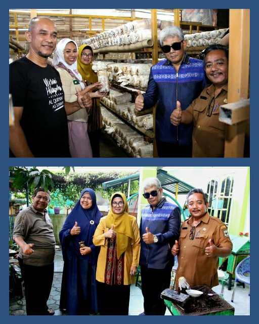 Wali Kota Pematang Siantar tinjau UMKM Budidaya bahan pangan Jamur Tiram dan Peternakan lebah madu Flora Nauli 
