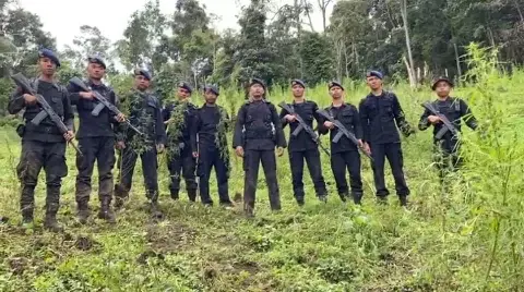 Polisi saat memusnahkan ganja