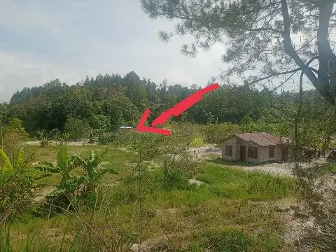 Lokasi kejadian 