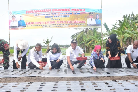Petani Sukses Mampu Tingkatkan Produktivitas dan Hasil Ekonomi yang Layak